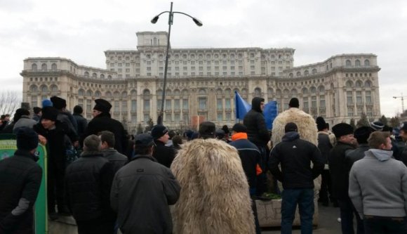 Betörtek a parlamentbe a kutyalimit miatt dühös juhászok