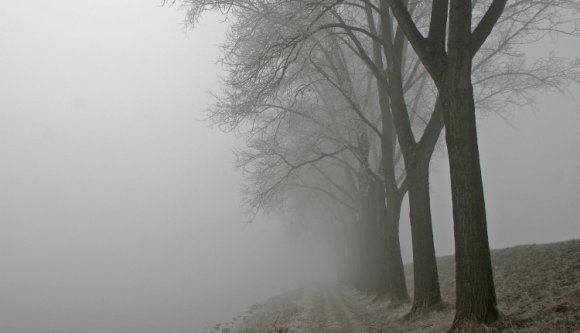 Sárga ködriasztás a Partium és a Bánság egy részén