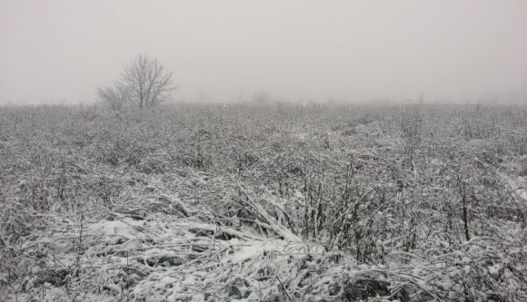 Földrengés és hóriasztás egyszerre