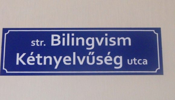 Perek sokaságát indítanák a kétnyelvűségért a vásárhelyi civilek