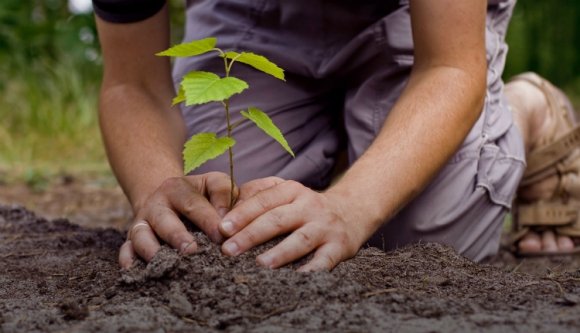 Egy új szövetség magvait ültették el az erdélyi gazdák