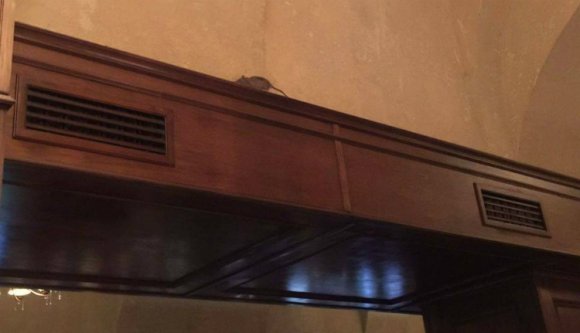 Patkányt fotóztak Kolozsvár egyik puccos bisztrójában