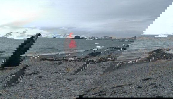 Mi az istent csinál a pátriárka az Antarktiszon? (VIDEÓ)