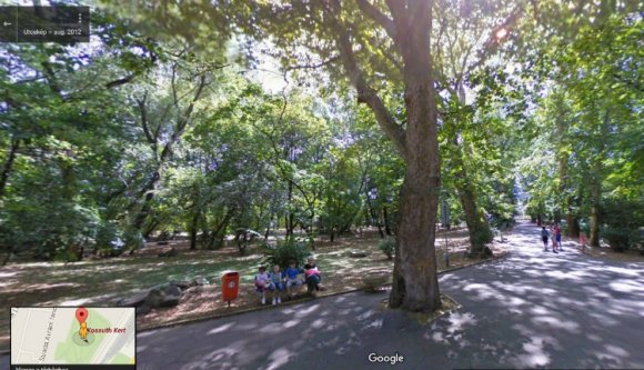 A varjak miatt kopaszítanák meg a szatmári Kossuth-kertet