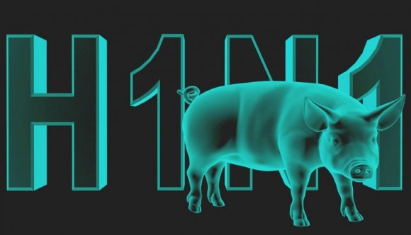 Több áldozata van a sertésinfluenzának Hunyad megyében