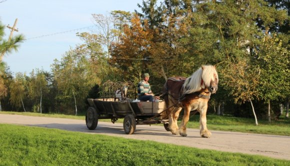 Elszívja Kolozsvár a vidéki agyakat