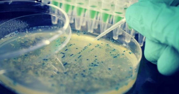 Tehéntúró okozhatta a tömeges megbetegedést Argeș megyében