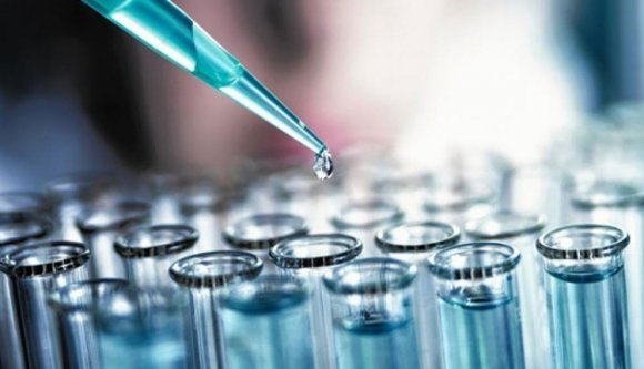 Mégis a Brădet tehéntúró  a betegségokozó?