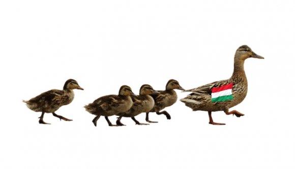 Már megint a magyar példa!
