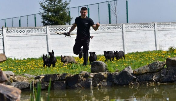 Vaddisznókkal víkendeznek a rendőrök?