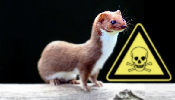 Ki ütötte ki a világ legnagyobb tudományos műszerét?