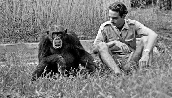 Egy erdélyi arisztokrata regényes életútja három kontinensen át