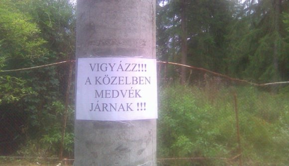 Medveálló kukákat rendszeresítenek Tusnádfürdőn