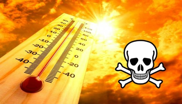 Figyelem: a kánikula halálos lehet!