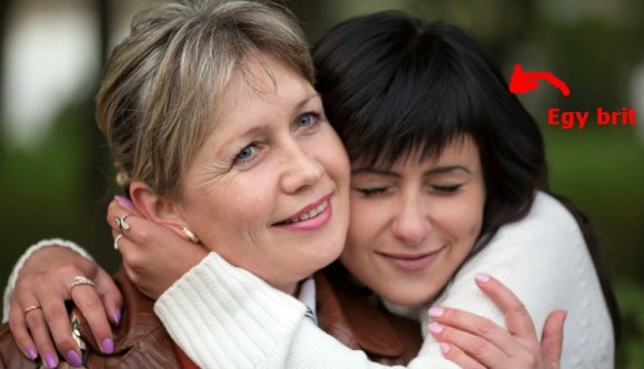 Szeretne örökbe fogadni egy britet?