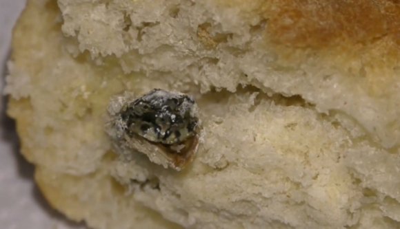 Bizarr: békafejet találtak egy kenyérben