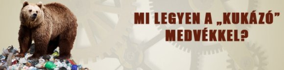 Mi legyen a „kukázó” medvékkel?