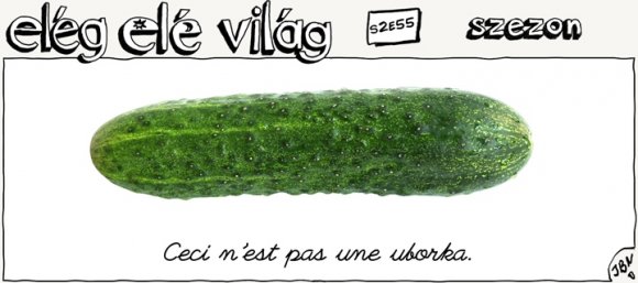 Elég elé világ – 2. évad, 55. epizód