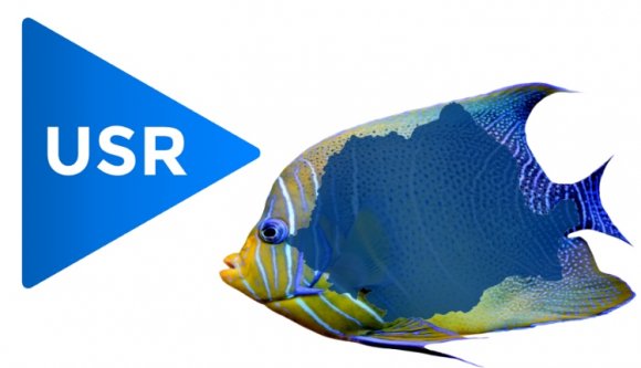 Románia, az imposztorok hazája