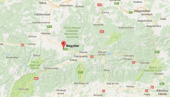 Málnaszedés közben szült egy nő Hunyad megyében