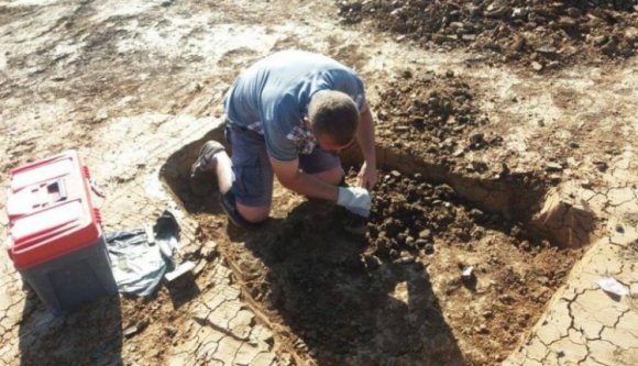 Közel hétezer éves sírokat tártak fel Nagymajtényban