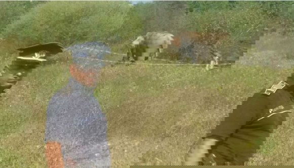 Megszökött egy elefánt a cirkuszból Râmnicu Vâlceán