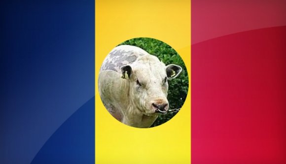 Gyűlölettel szeretni a hazát