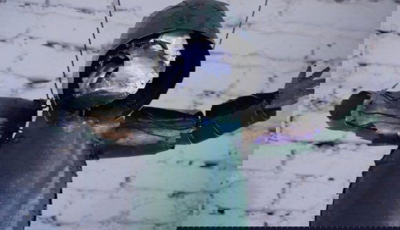 Így PulzArt Sepsiszentgyörgy (VIDEÓ)