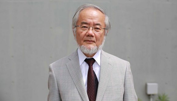 Japán tudós az idei orvosi Nobel-díjas