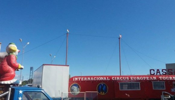 Cirkuszt bírságoltak meg a magyar és amerikai zászlók kitűzéséért