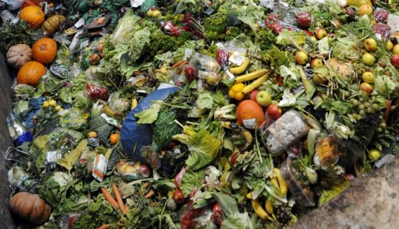 Törvény született az élelmiszerpazarlás megelőzése érdekében