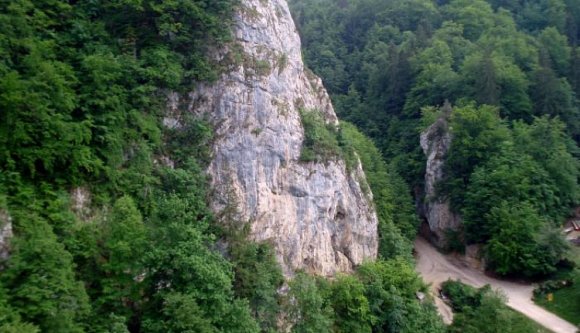 Medve támadt egy amerikai turistára