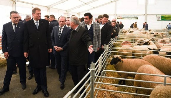 Juhokat tekintett meg Klaus Iohannis