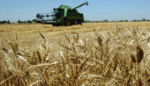 A Székelyföldön üléseztek a Kárpát-medencei magyar gazdák