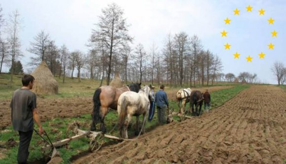 EU-nyelven: képzett freelancer, Romániában: szegény napszámos