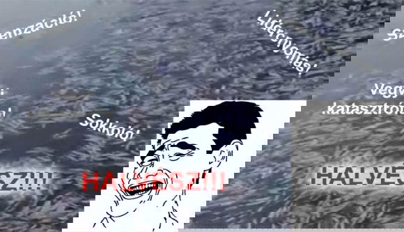 „Halvész” és „vegyi katasztrófa” Arad megyében!!!