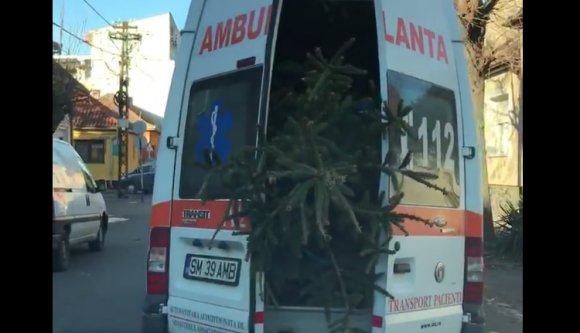 Megbüntették a fenyőt szállító mentőst