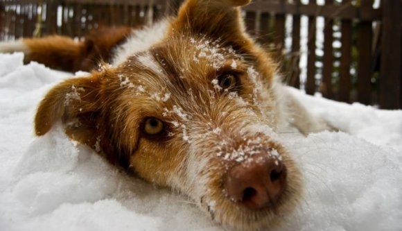 Megfagy a fenekünk hétfőig