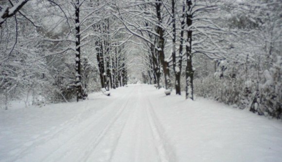 Kolozs megyében is akadályozza a tanítást a téli ítéletidő
