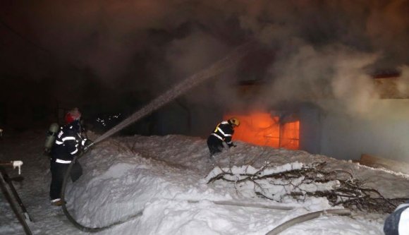 Tűzvész a Globus Cirkusznál: 11 állat elpusztult