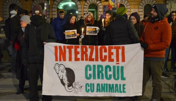 Nem cirkuszoltak: csendben tüntettek