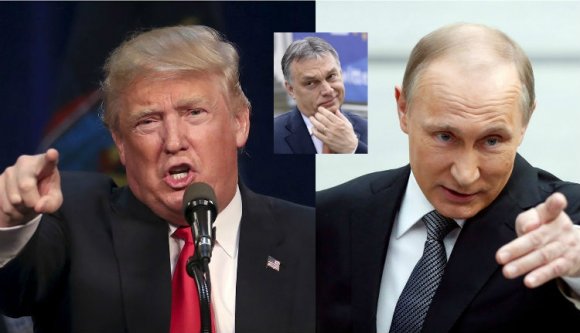 A Kis Dodoniád: gulyás ízű habcsókok