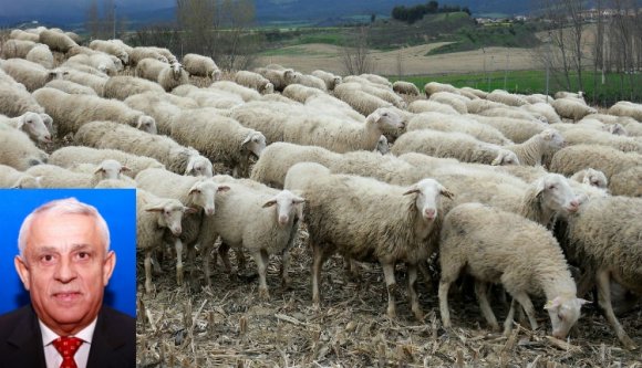 12 millió juh, 12 millió paplan!