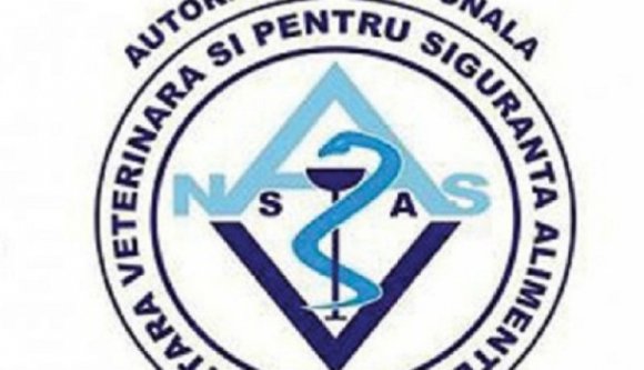 Igazi villámkarrier: egy napig állt a hatóság élén a korrupcióval vádolt vezető