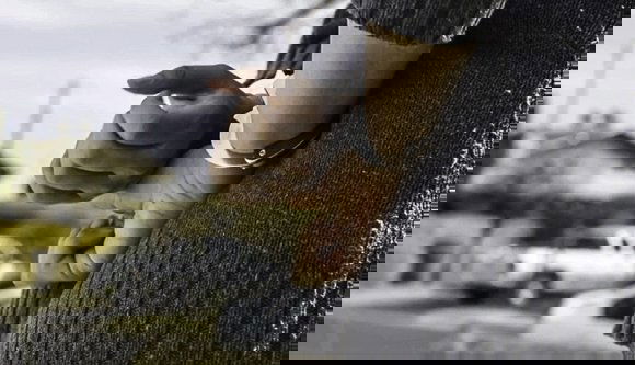 Kiskorúval szexelt egy Piatra Neamţ-i tanárnő, a diák öngyilkos lett