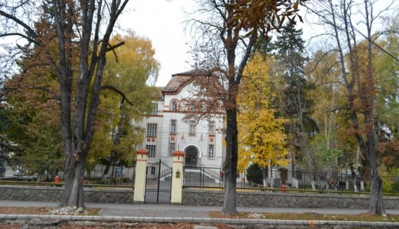 Iskola- és szoborfelújításra kér pénzt a székelyföldi románok szervezete