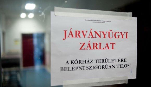 Lázár: valószínűleg Romániából terjedt át a makói kanyarófertőzés