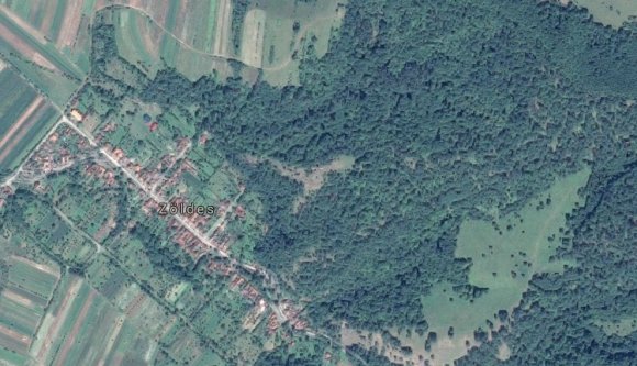 Orvvadászok lőttek egy erdészre Arad megyében