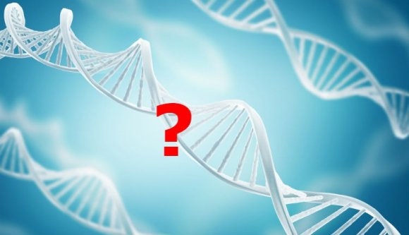 Az erdélyiek és az olténiaiak genetikájáról