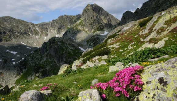 Három mentőegység is keresi az eltűnt hegymászókat